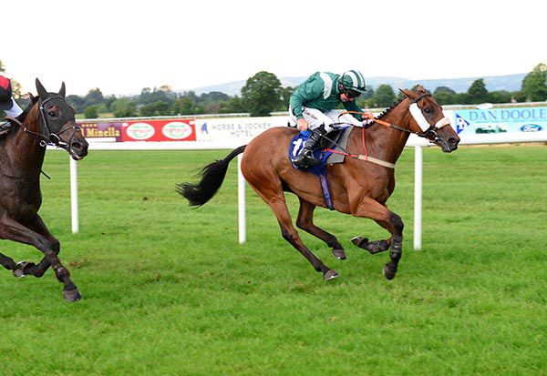 Cadawill is ridden out by Andrew Lynch to beat Timmone