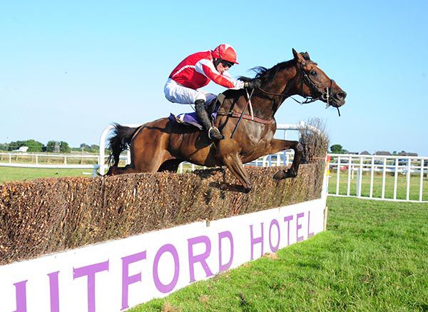 Adimelo and Derek Fox enjoy a spin around Wexford