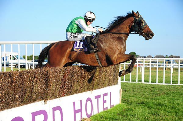Double Windsor and Sean Flanagan pictured on their way to victory