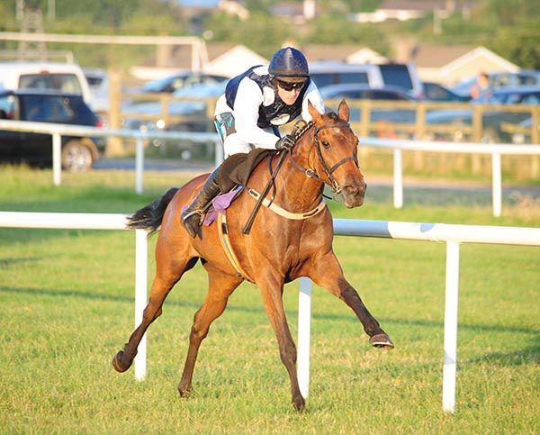 Little Nugget forges clear in Wexford