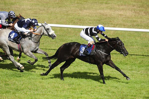 The Eddie Lynam-trained Soffia winning under Robbie Downey