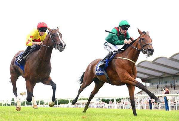 Shelannga (green) gets the better of National Glory