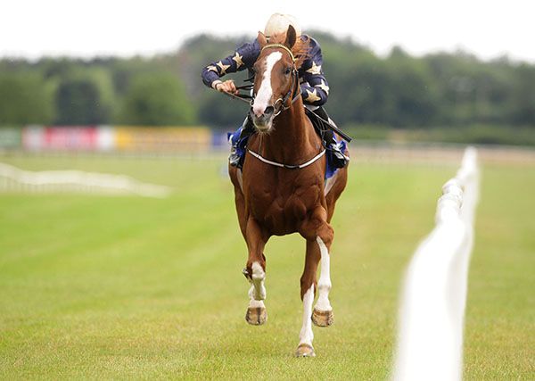 Baba Boom comes home strongly on the stands' side rail under Ross Coakley
