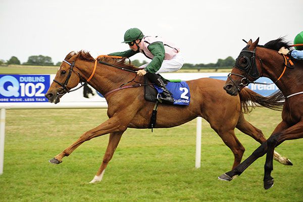 Park Row is ridden out by Ross Coakley to hold off Black Label