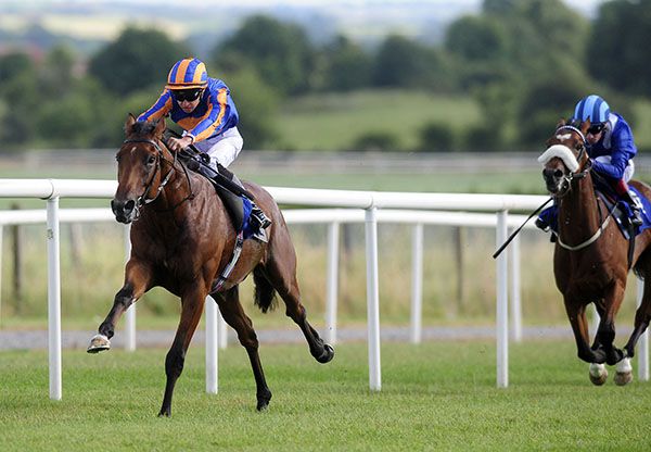 Christmas wins easily under Donnacha O'Brien