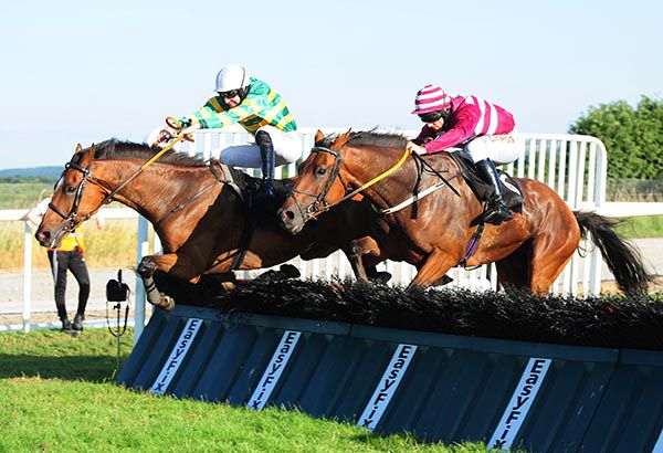 Spring Watch (far side)