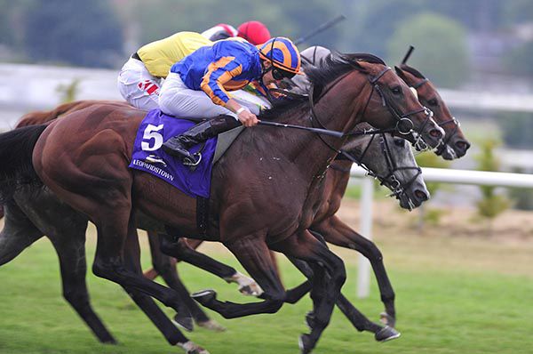 Lucius Tiberius (near side) and Donnacha O'Brien just beating the partly hidden Mawaany and Aussie Valentine