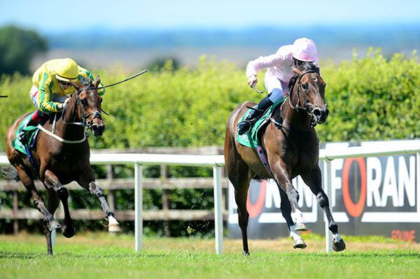 Fantasy is ridden out by Michael Hussey to beat Rita Levi