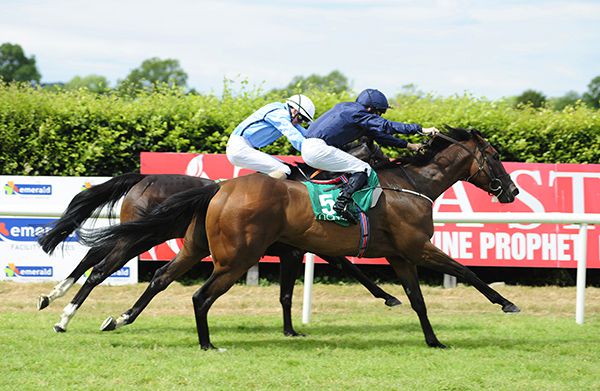 Fire Opal (nearest) gets the better of View The Bay