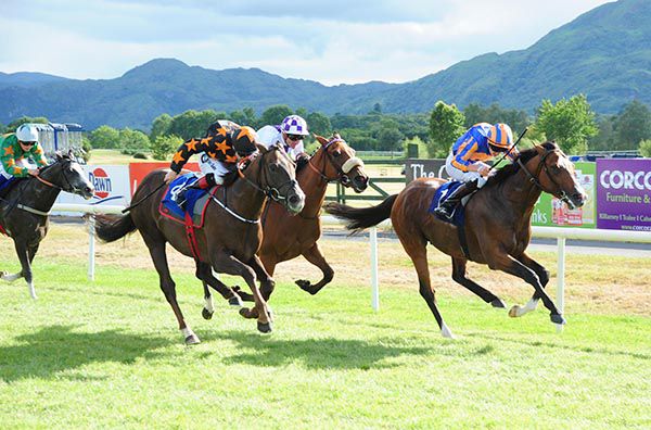 El Greco leads home Mattymolls Gaga (black and orange) and Scriobh Nua