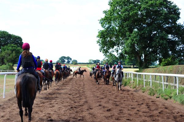 On the gallops at Closutton