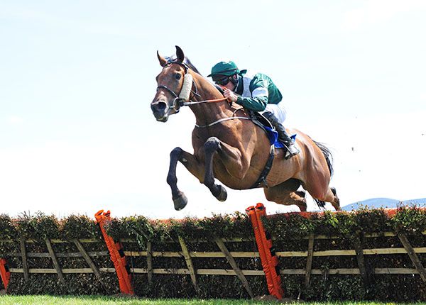 Viking Hoard and Kevin Brouder pictured on their way to victory