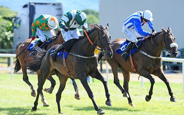 Not For You is ridden out by Donal McInerney to beat Fairymount Boy (noseband) and Invincible Don