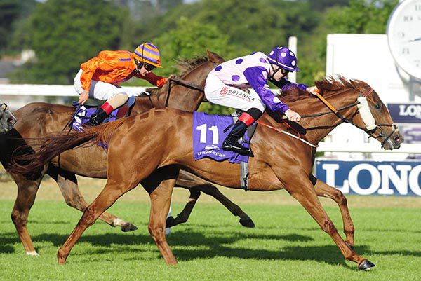 Secret Memories is ridden out by Killian Hennessy to beat Korbous