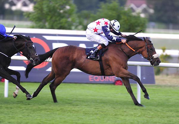 The Mouse Doctor is ridden out by Robbie Colgan