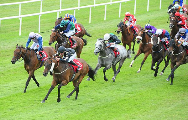 Intisaab (cheekpieces) stays on best to beat Ardhoomey, with the grey Gunmetal back in third
