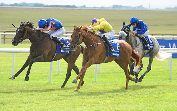 Sea Of Class beating Forever Together in the Darley Irish Oaks last year