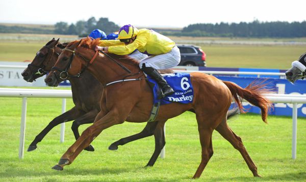 Sea Of Class