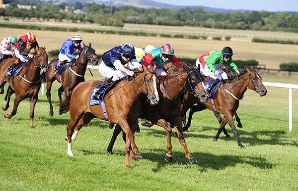 Focus Of Attention (nearest) comes with her winning run under Donnacha O'Brien