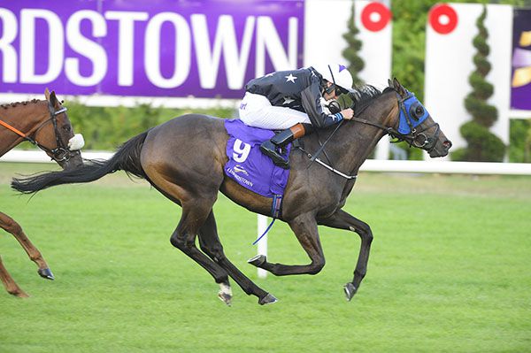 Innamorare comes home in front under Oisin Orr