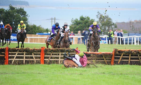 Blinkers, Lady Of The Sea (Bryan Cooper), took advantage of Epsilon Indi's final flight fall under Danny Mullins