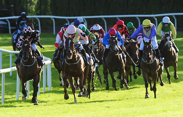 Uradel, yellow cap, motors home in Galway