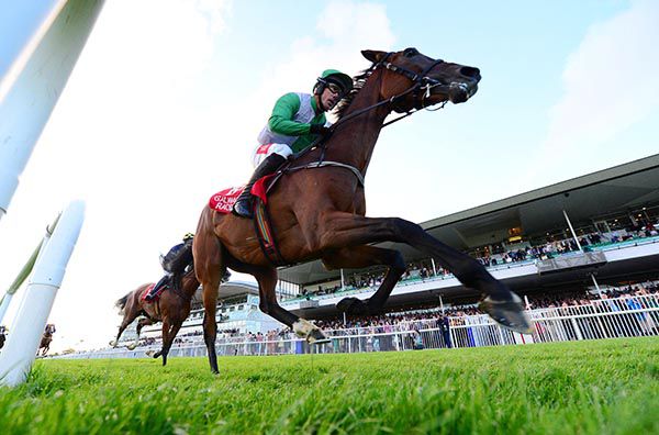 Zero Ten wins under Derek O'Connor