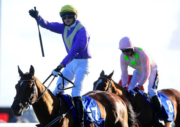 Uradel - a Daragh Fitzpatrick & Colm White Local Bookmakers November Handicap possibility