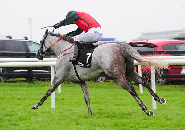 Honor Oak and Billy Lee won by no less than eight lengths