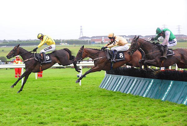 Calie Du Mesnil (number 8) comes to win her race under David Mullins