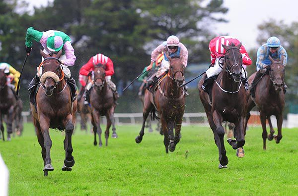 Camlann (noseband) wins under Billy Lee