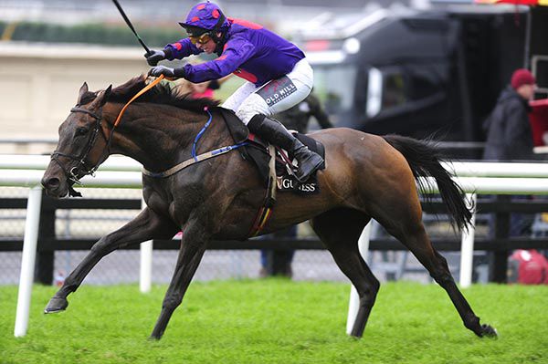 You Raised Me Up and Jamie Codd win for trainer Martin Brassil