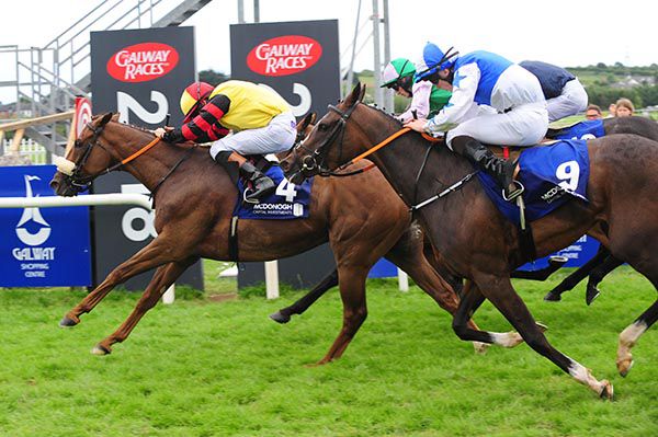 Share The Honour knows where the winning post is