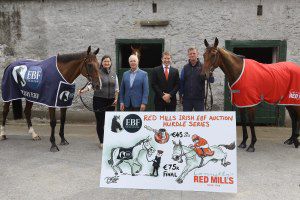 At the series launch - Nessa Joyce, John O'Connor, Gareth Connolly and Tom Mullins