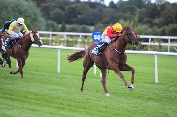 Persian Lion powers clear under Shane Foley