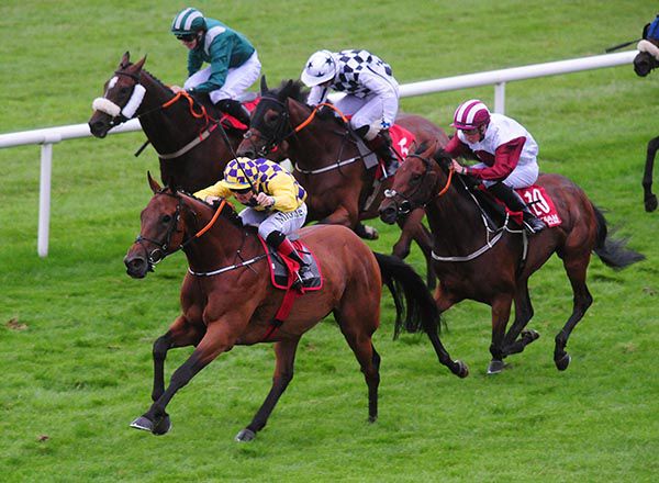 Enzani is ridden out by Gary Halpin
