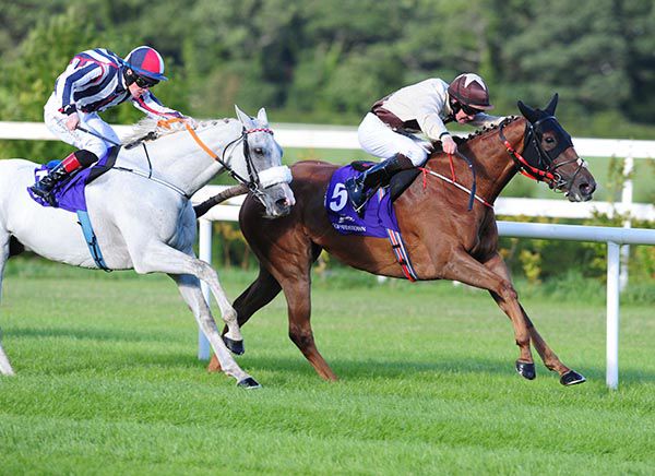 Sheila's Hope and Tom Madden hold Vastonea and Dylan Hogan