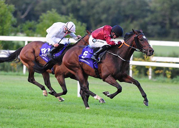 Dance Emperor wins under Colm O'Donoghue