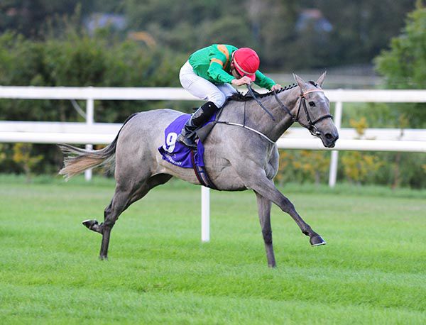 Moteo put in a taking performance on debut in the finale at Leopardstown under Ronan Whelan