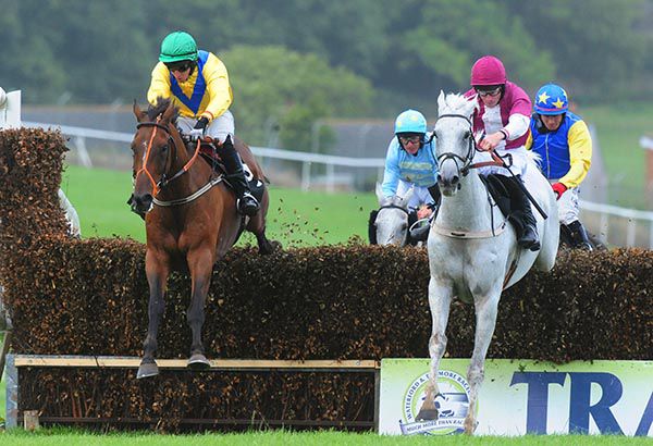 Old Supporter (left) and Ballyfinboy jump the last together 