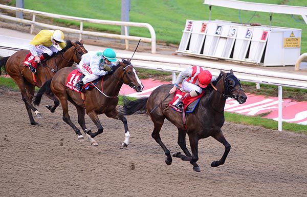 Namazee (Ben Coen) draws clear to beat Little Camacho