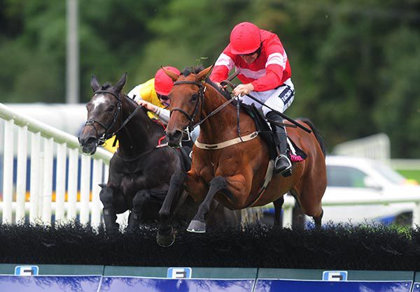 Eglantine Du Sseuil jumps the last ahead of Misty Mountain