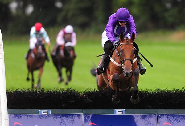 Pleasure Dome jumps the last under Ruby Walsh