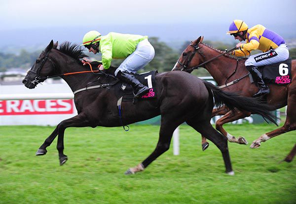 Curramore and Ray Barron lead home Poker D'ainay