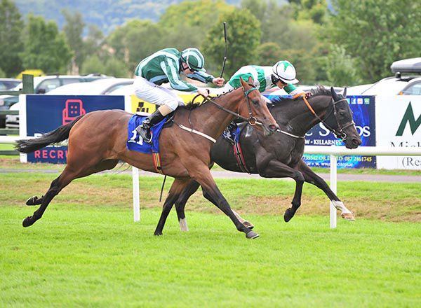 New Identity (Denis Linehan) holds off Time Queen (Gavin Ryan)