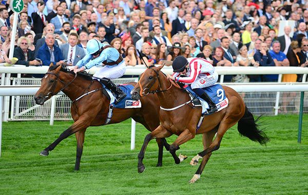 Fairyland & Ryan Moore (far side) beat The Mackem Bullet