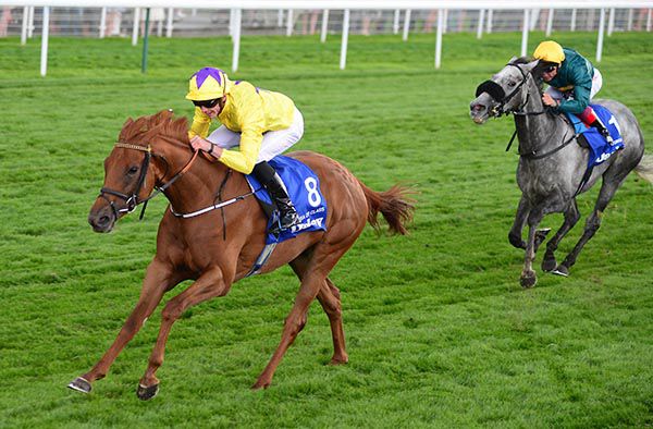 Sea Of Class and James Doyle 