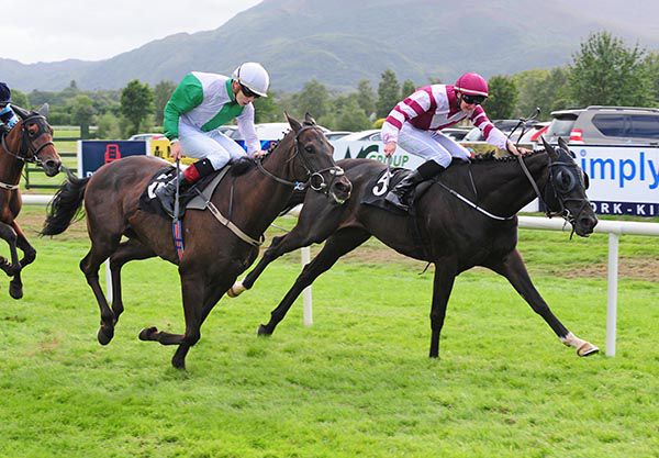 Brazos and Daniel Redmond hold off Exchange Rate 