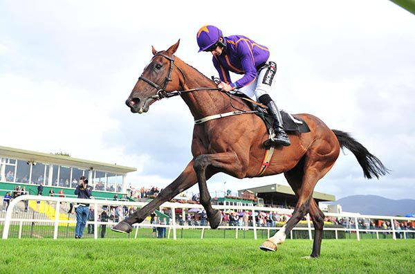 Wicklow Brave and Patrick Mullins