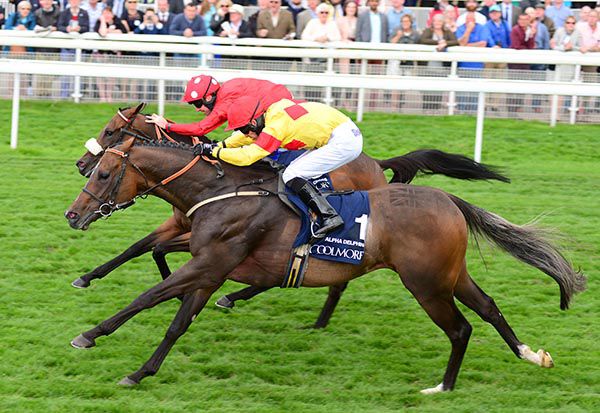 Alpha Delphini (nearest) beating Mabs Cross 